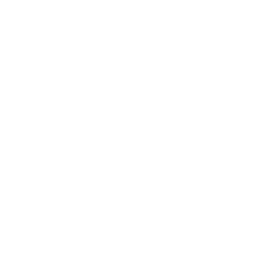 person lifing weights - icon